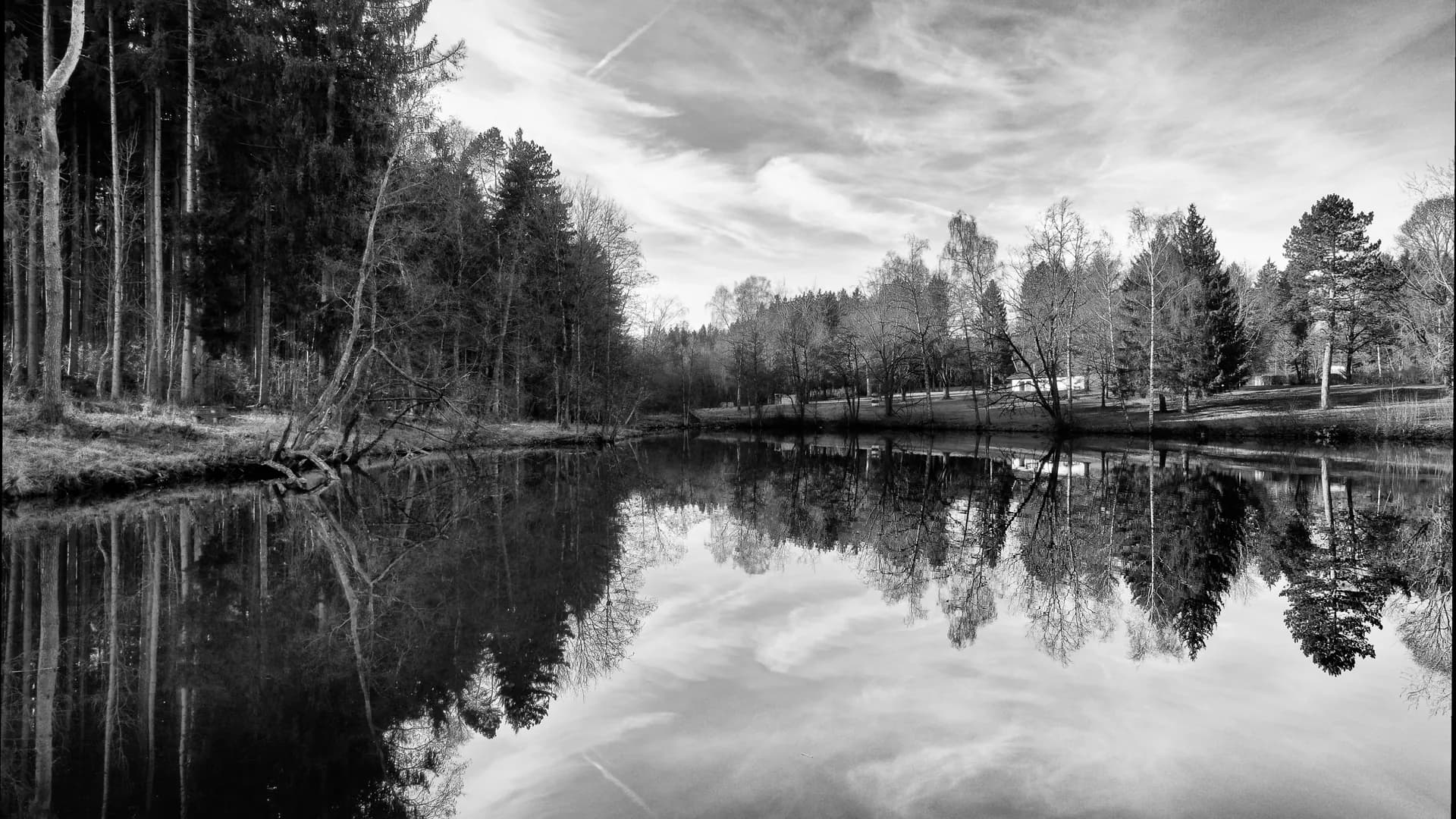 Ein stiller See spiegelt die Uferbäume, in Schwarzweiß.