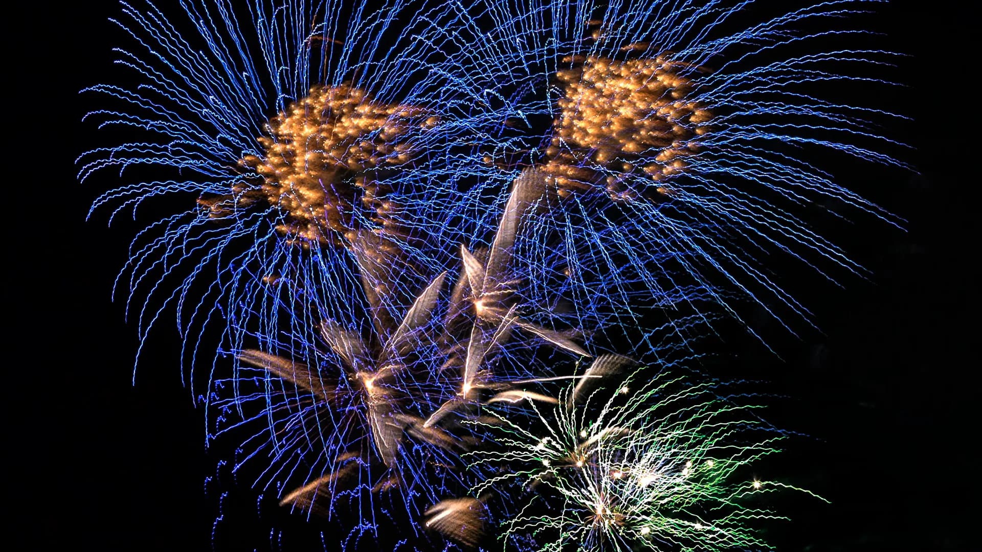 Blaue, chrysanthemenartige Feuerwerksexplosionen.