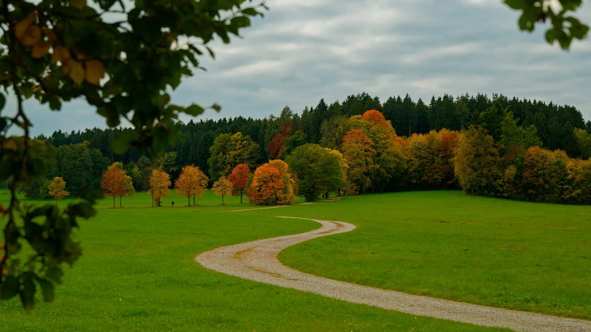 A gravel path leading through an autumn meadow.