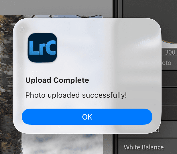 Verify Your First Photo (2)