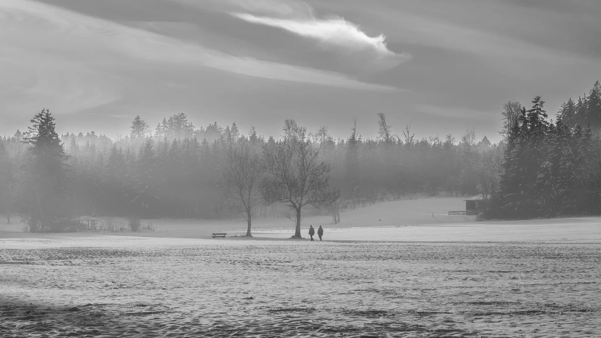 Backlit mist with two distant figures in black and white.