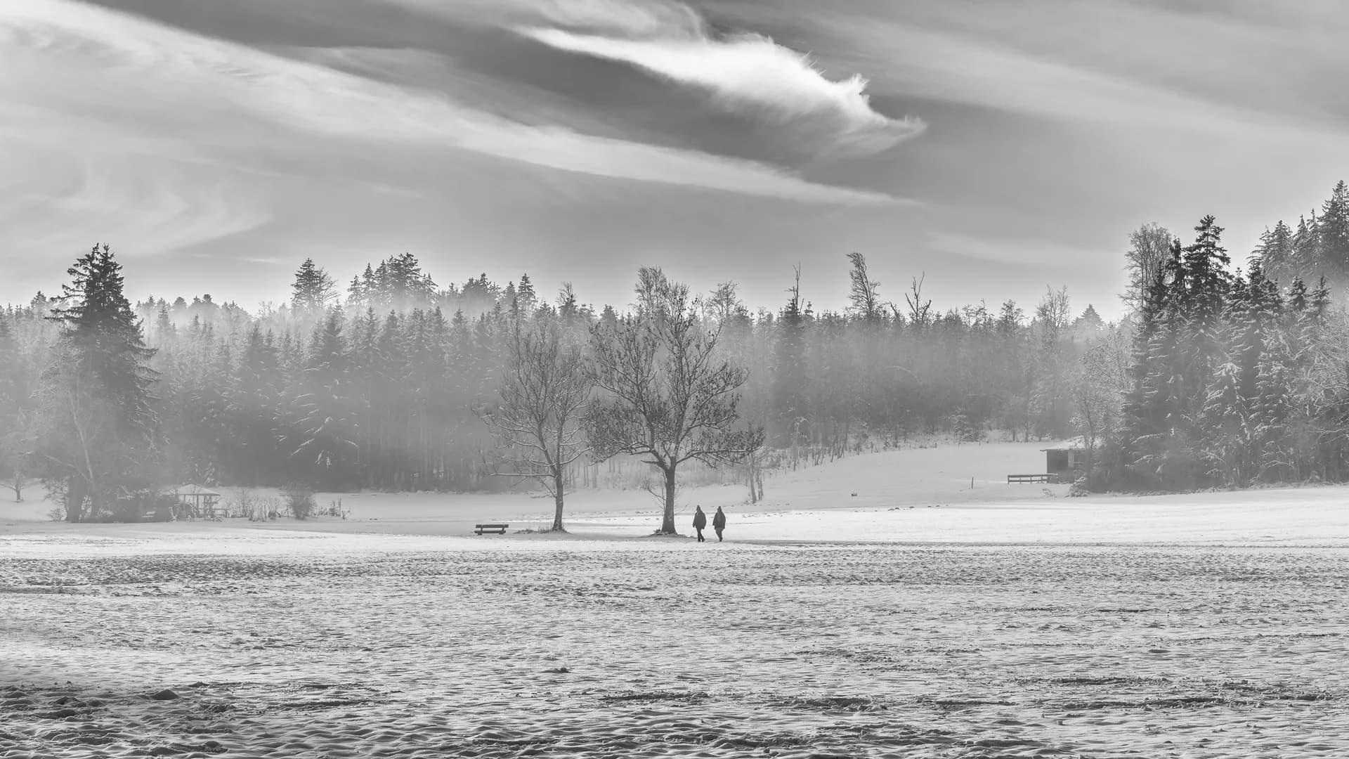 Walkers in winter mist beneath a dramatic cloud, in black and white.