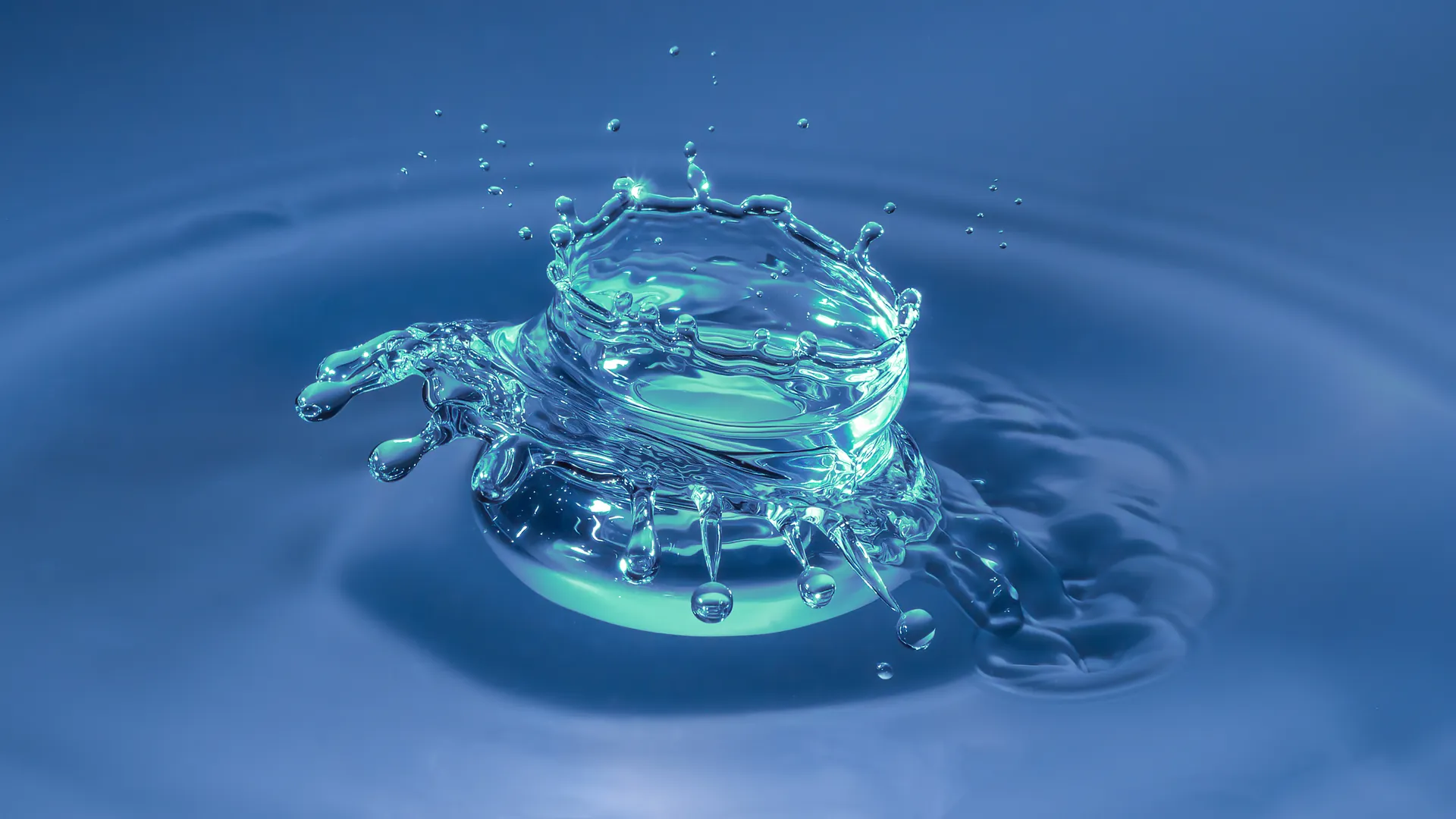 A water drop crown collision frozen mid-splash, the kind of physics only a real capture records.