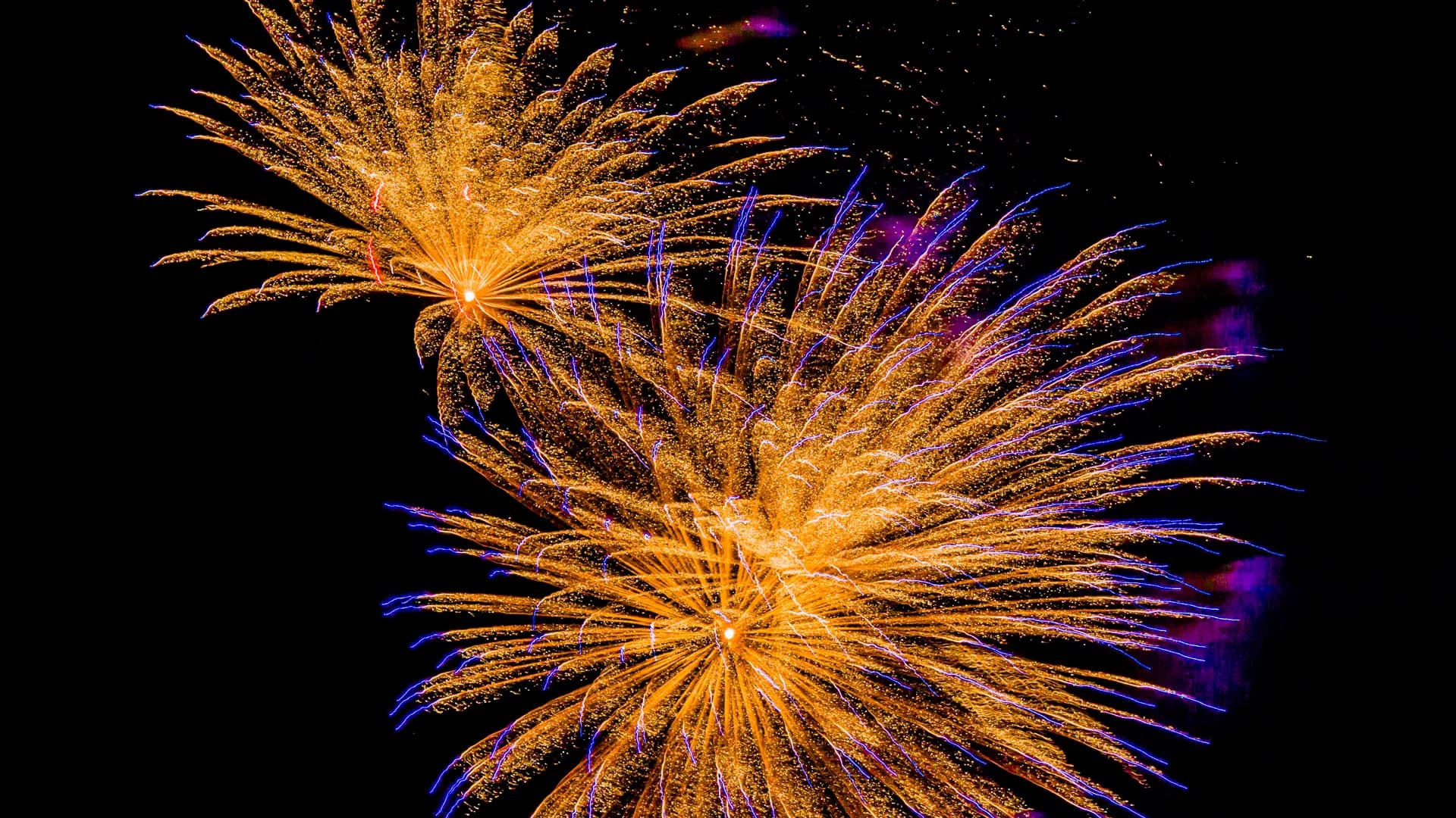 Goldene Feuerwerksexplosionen vor dunklem Himmel.